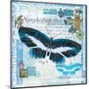 Butterfly Artifact Blue-Alan Hopfensperger-Mounted Art Print