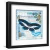 Butterfly Artifact Blue-Alan Hopfensperger-Framed Art Print