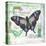 Butterfly Artifact Green-Alan Hopfensperger-Stretched Canvas