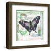 Butterfly Artifact Green-Alan Hopfensperger-Framed Art Print