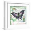 Butterfly Artifact Green-Alan Hopfensperger-Framed Art Print