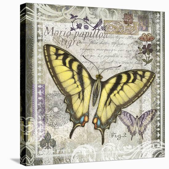 Butterfly Artifact II-Alan Hopfensperger-Stretched Canvas