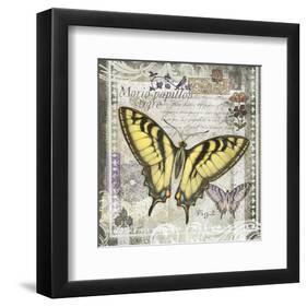 Butterfly Artifact II-Alan Hopfensperger-Framed Art Print