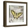 Butterfly Artifact II-Alan Hopfensperger-Framed Art Print