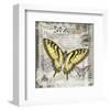 Butterfly Artifact II-Alan Hopfensperger-Framed Art Print