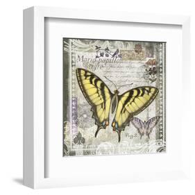 Butterfly Artifact II-Alan Hopfensperger-Framed Art Print