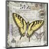 Butterfly Artifact II-Alan Hopfensperger-Mounted Art Print