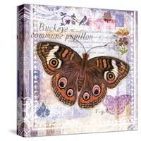 Butterfly Artifact Lilac-Alan Hopfensperger-Stretched Canvas