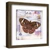 Butterfly Artifact Lilac-Alan Hopfensperger-Framed Art Print