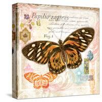 Butterfly Artifact Pink-Alan Hopfensperger-Stretched Canvas
