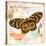 Butterfly Artifact Pink-Alan Hopfensperger-Stretched Canvas