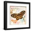 Butterfly Artifact Pink-Alan Hopfensperger-Framed Art Print