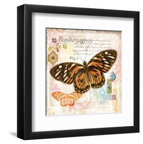 Butterfly Artifact Pink-Alan Hopfensperger-Framed Art Print