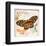 Butterfly Artifact Pink-Alan Hopfensperger-Framed Art Print