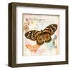 Butterfly Artifact Pink-Alan Hopfensperger-Framed Art Print