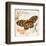 Butterfly Artifact Pink-Alan Hopfensperger-Framed Art Print