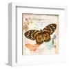 Butterfly Artifact Pink-Alan Hopfensperger-Framed Art Print