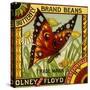 Butterfly Bean Label-null-Stretched Canvas