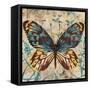 Butterfly Beauty 1-Melissa Pluch-Framed Stretched Canvas