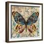 Butterfly Beauty 1-Melissa Pluch-Framed Art Print