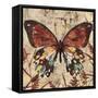 Butterfly Beauty 2-Melissa Pluch-Framed Stretched Canvas