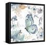 Butterfly Beauty I-Patricia Pinto-Framed Stretched Canvas