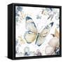 Butterfly Beauty II-Patricia Pinto-Framed Stretched Canvas