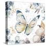 Butterfly Beauty II-Patricia Pinto-Stretched Canvas