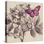 Butterfly Beauty-Bella Dos Santos-Stretched Canvas