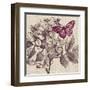 Butterfly Beauty-Bella Dos Santos-Framed Art Print