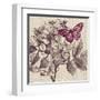 Butterfly Beauty-Bella Dos Santos-Framed Art Print