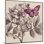 Butterfly Beauty-Bella Dos Santos-Mounted Art Print
