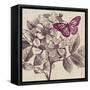 Butterfly Beauty-Bella Dos Santos-Framed Stretched Canvas