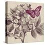 Butterfly Beauty-Bella Dos Santos-Stretched Canvas