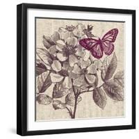 Butterfly Beauty-Bella Dos Santos-Framed Art Print