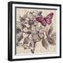 Butterfly Beauty-Bella Dos Santos-Framed Art Print