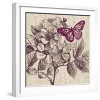 Butterfly Beauty-Bella Dos Santos-Framed Art Print