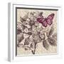 Butterfly Beauty-Bella Dos Santos-Framed Art Print