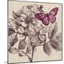 Butterfly Beauty-Bella Dos Santos-Mounted Art Print