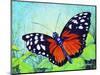 Butterfly Beauty-Tanja Ware-Mounted Giclee Print