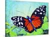 Butterfly Beauty-Tanja Ware-Stretched Canvas