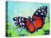 Butterfly Beauty-Tanja Ware-Stretched Canvas