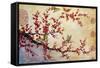 Butterfly Blossoms-Asian-Jean Plout-Framed Stretched Canvas