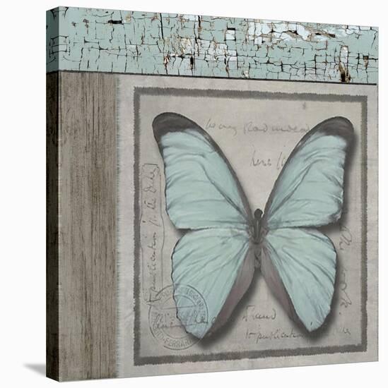 Butterfly Blue-Karen Williams-Stretched Canvas