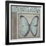 Butterfly Blue-Karen Williams-Framed Giclee Print