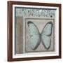Butterfly Blue-Karen Williams-Framed Giclee Print