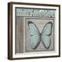 Butterfly Blue-Karen Williams-Framed Giclee Print