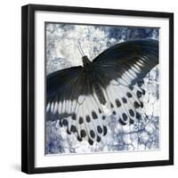 Butterfly Blues 1-Kimberly Allen-Framed Art Print