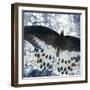 Butterfly Blues 2-Kimberly Allen-Framed Art Print