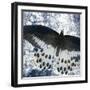 Butterfly Blues 2-Kimberly Allen-Framed Art Print